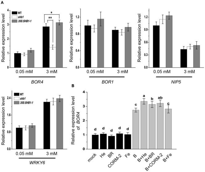 https://cdn.ncbi.nlm.nih.gov/pmc/blobs/b747/5432644/46ab9bac6508/fpls-08-00790-g006.jpg