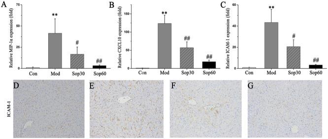 https://cdn.ncbi.nlm.nih.gov/pmc/blobs/b748/5359249/1ace6527c0d3/fphar-08-00140-g003.jpg