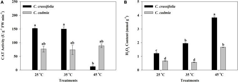 https://cdn.ncbi.nlm.nih.gov/pmc/blobs/b748/8034387/e136a39d2589/fpls-12-624875-g005.jpg