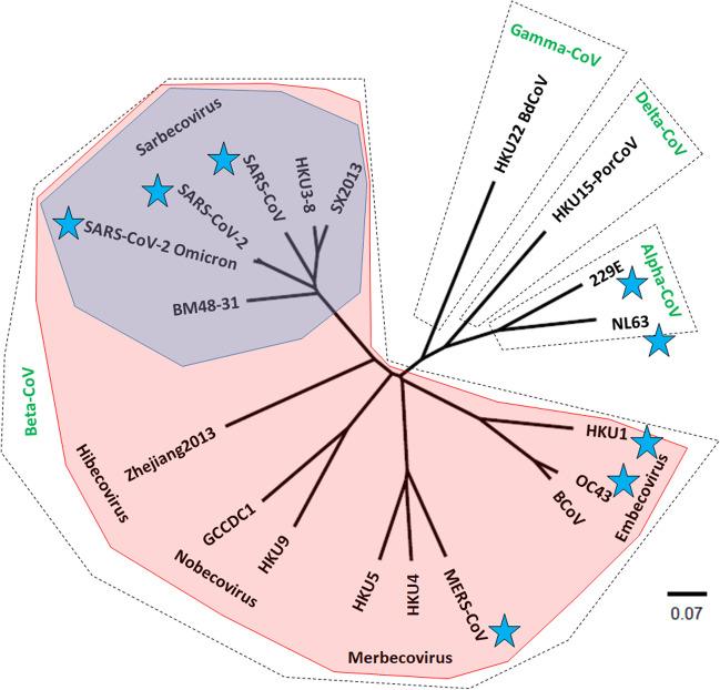 https://cdn.ncbi.nlm.nih.gov/pmc/blobs/b749/11136744/ca2e5720af98/281_2023_996_Fig1_HTML.jpg