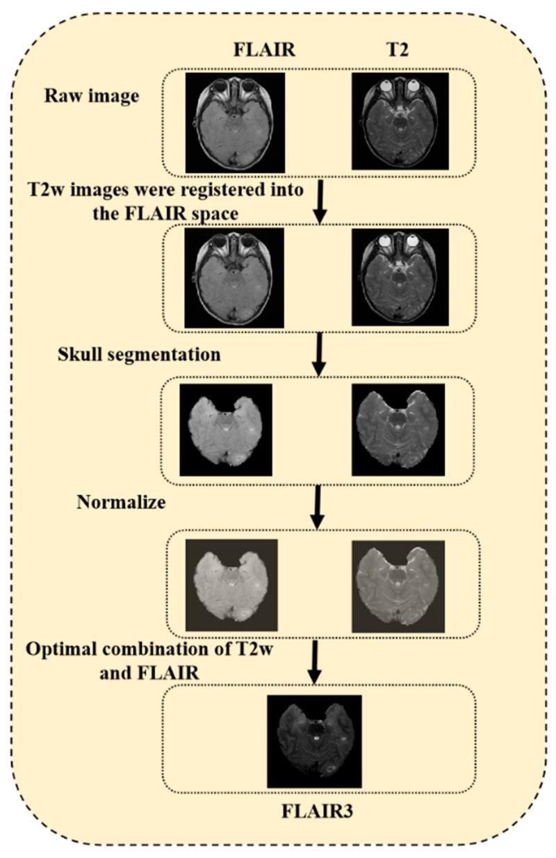 https://cdn.ncbi.nlm.nih.gov/pmc/blobs/b74a/10375986/496e7ff5add9/bioengineering-10-00870-g003.jpg