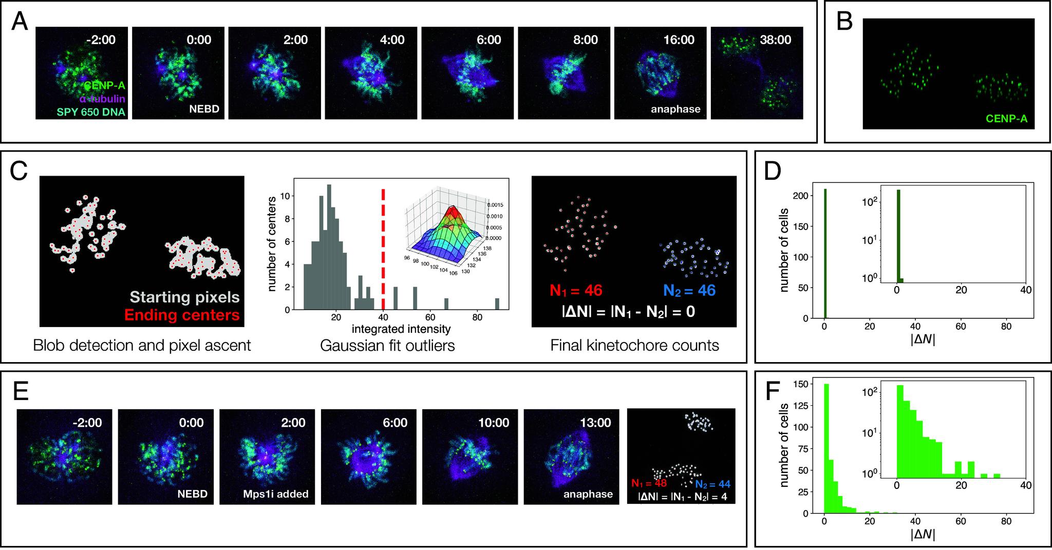 https://cdn.ncbi.nlm.nih.gov/pmc/blobs/b74a/11194551/63365579ba20/pnas.2323009121fig01.jpg