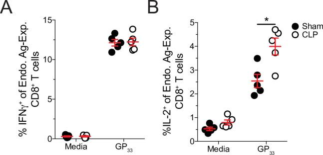 https://cdn.ncbi.nlm.nih.gov/pmc/blobs/b74a/8589447/295fda9cfc39/elife-70989-fig7-figsupp2.jpg