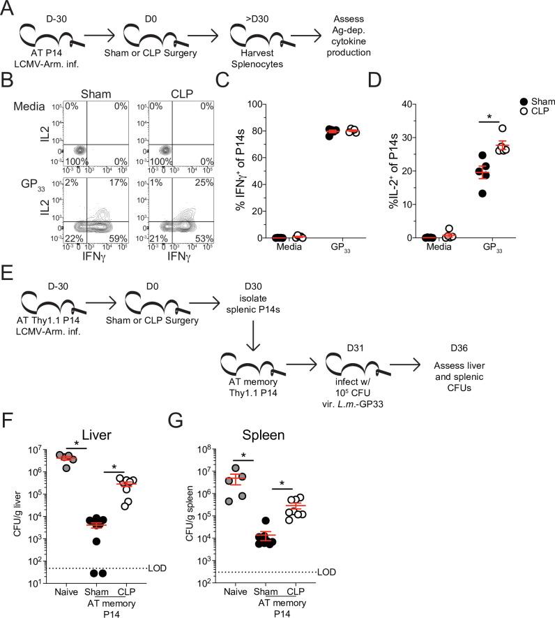https://cdn.ncbi.nlm.nih.gov/pmc/blobs/b74a/8589447/2bb9f32642cf/elife-70989-fig7.jpg