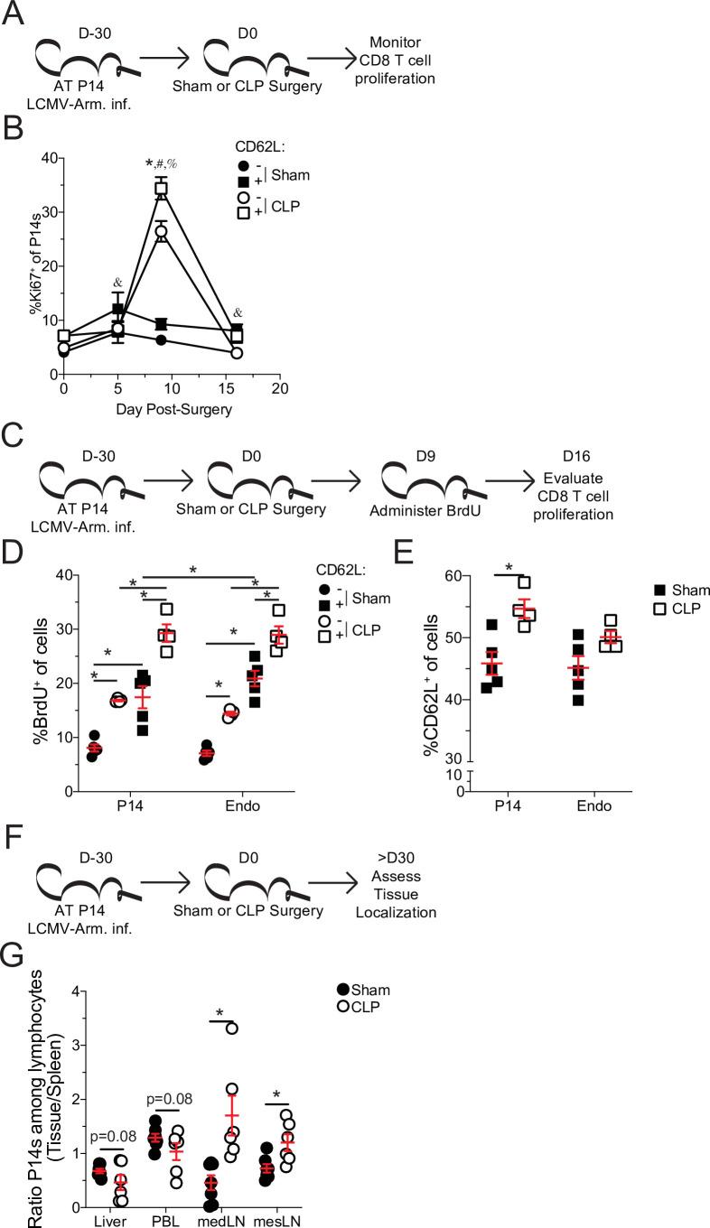 https://cdn.ncbi.nlm.nih.gov/pmc/blobs/b74a/8589447/329edae3db16/elife-70989-fig4.jpg