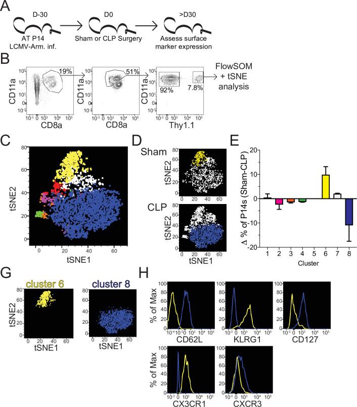 https://cdn.ncbi.nlm.nih.gov/pmc/blobs/b74a/8589447/46a555cadb23/elife-70989-fig3.jpg
