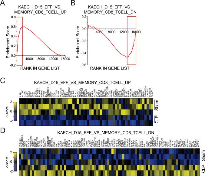 https://cdn.ncbi.nlm.nih.gov/pmc/blobs/b74a/8589447/9e0674d9d61e/elife-70989-fig6-figsupp1.jpg