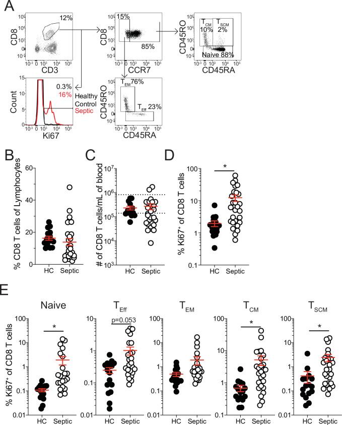 https://cdn.ncbi.nlm.nih.gov/pmc/blobs/b74a/8589447/b631fc1988a7/elife-70989-fig1.jpg