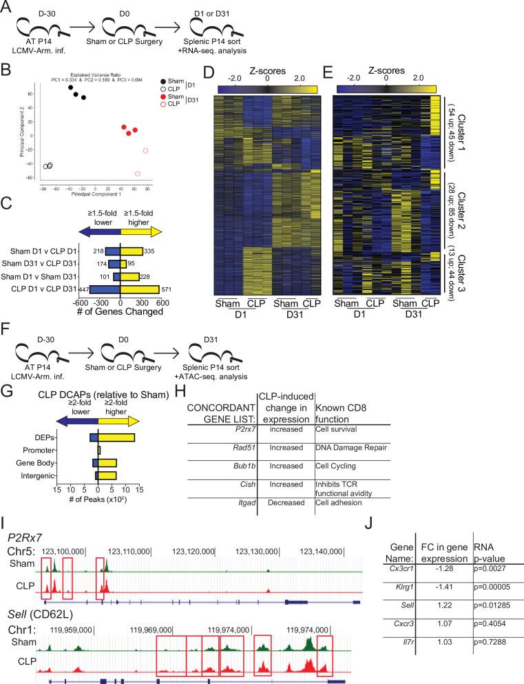 https://cdn.ncbi.nlm.nih.gov/pmc/blobs/b74a/8589447/f5eb46273fbd/elife-70989-fig5.jpg