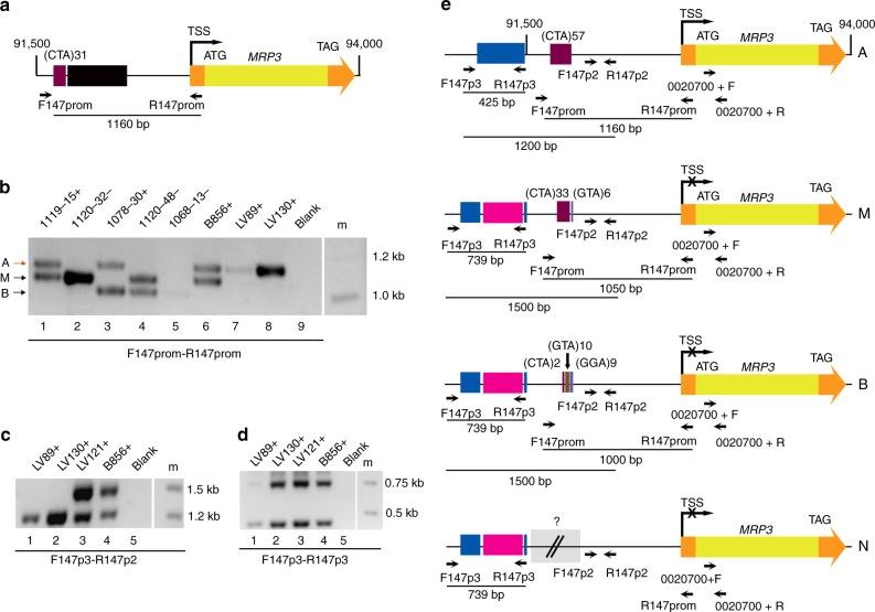 https://cdn.ncbi.nlm.nih.gov/pmc/blobs/b74b/6261938/4b128f205c04/41467_2018_7496_Fig2_HTML.jpg
