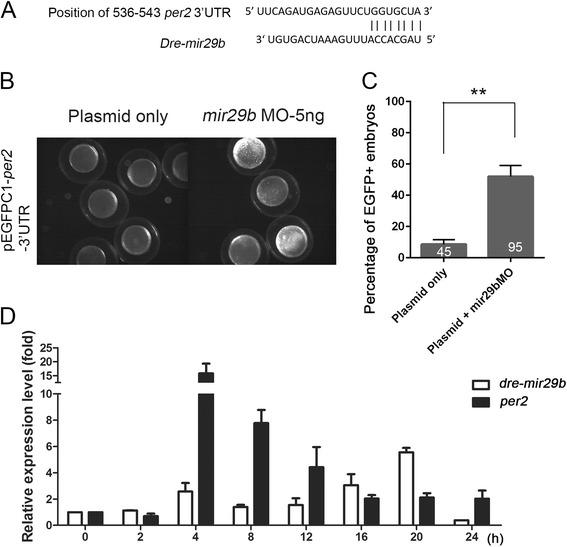 https://cdn.ncbi.nlm.nih.gov/pmc/blobs/b74c/5111229/3a3a84fb2974/12864_2016_3239_Fig7_HTML.jpg