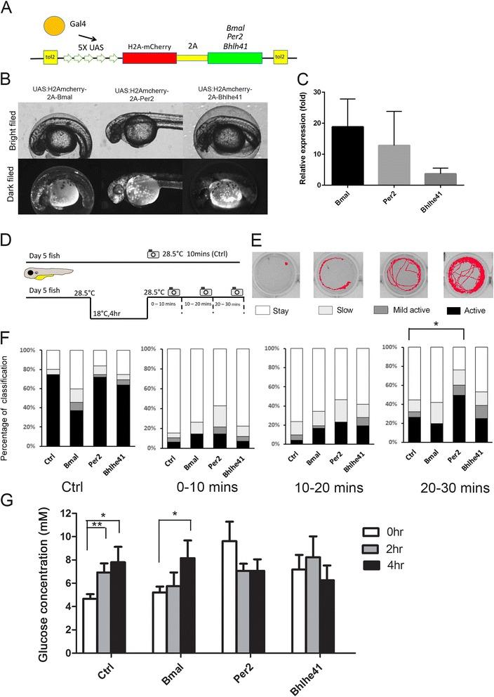 https://cdn.ncbi.nlm.nih.gov/pmc/blobs/b74c/5111229/89cdf7bb85cb/12864_2016_3239_Fig6_HTML.jpg