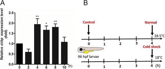 https://cdn.ncbi.nlm.nih.gov/pmc/blobs/b74c/5111229/b1aa522deb90/12864_2016_3239_Fig1_HTML.jpg