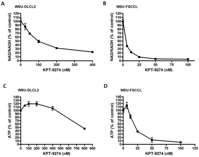 https://cdn.ncbi.nlm.nih.gov/pmc/blobs/b74c/8750170/31f219a4f1ce/cancers-14-00160-g003.jpg