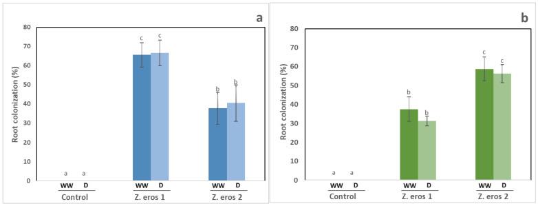 https://cdn.ncbi.nlm.nih.gov/pmc/blobs/b74e/10051184/8bc52a1bd0e5/jof-09-00384-g002.jpg
