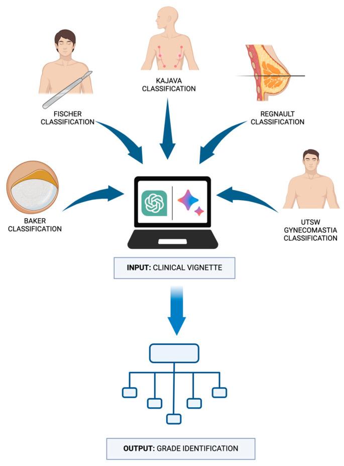 https://cdn.ncbi.nlm.nih.gov/pmc/blobs/b750/11275570/1de0eb3bc026/diagnostics-14-01491-g001.jpg