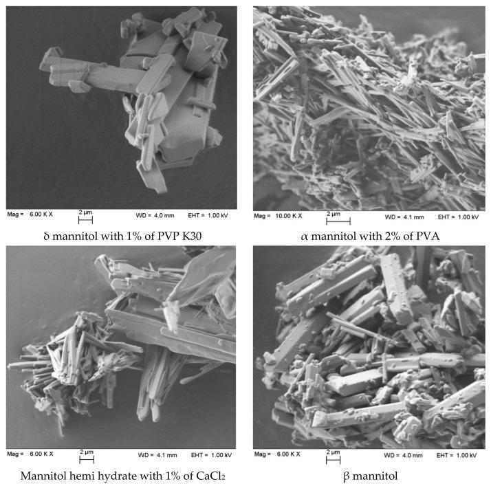 https://cdn.ncbi.nlm.nih.gov/pmc/blobs/b750/8401007/38b8cb534e39/pharmaceutics-13-01113-g008.jpg