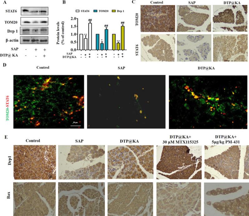 https://cdn.ncbi.nlm.nih.gov/pmc/blobs/b751/11776322/286eba750de6/12951_2025_3106_Fig2_HTML.jpg