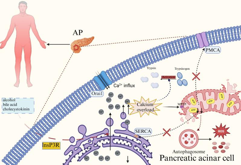 https://cdn.ncbi.nlm.nih.gov/pmc/blobs/b751/11776322/5491c3554b15/12951_2025_3106_Fig1_HTML.jpg