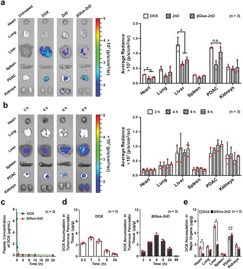 https://cdn.ncbi.nlm.nih.gov/pmc/blobs/b751/11776322/7bc53ddc259c/12951_2025_3106_Fig4_HTML.jpg