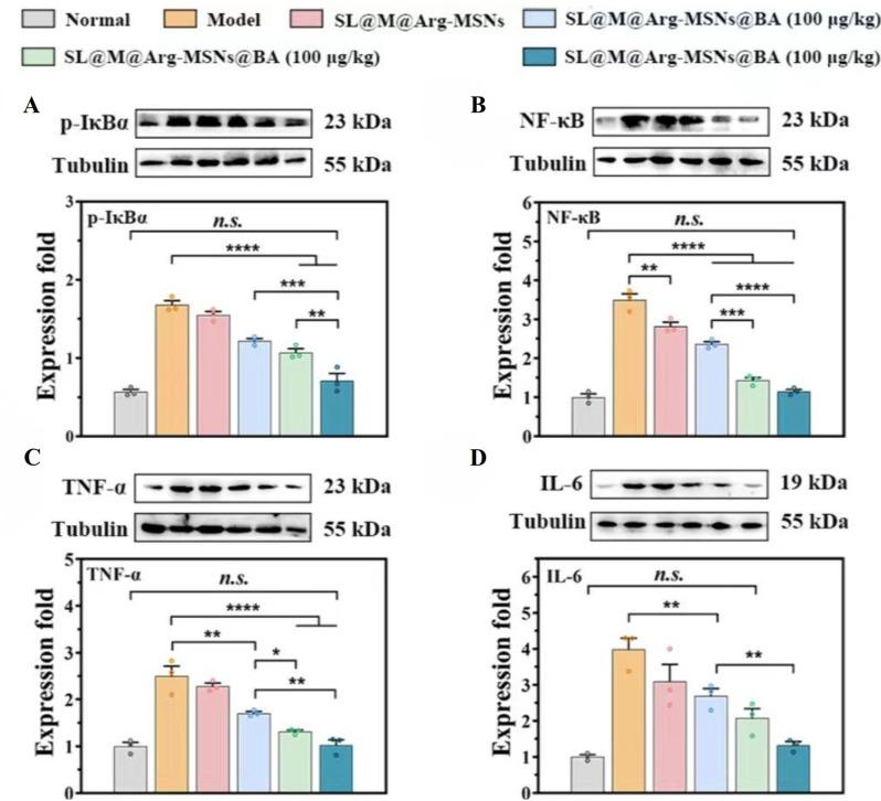 https://cdn.ncbi.nlm.nih.gov/pmc/blobs/b751/11776322/d47105d7eadc/12951_2025_3106_Fig3_HTML.jpg