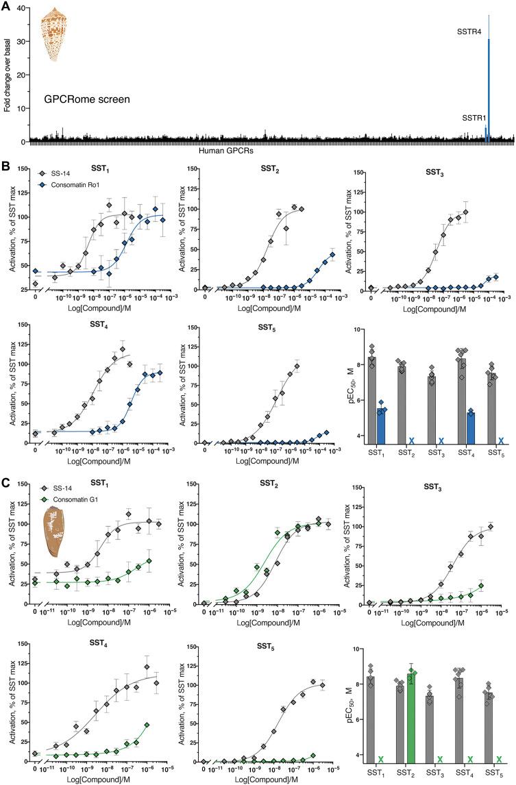 https://cdn.ncbi.nlm.nih.gov/pmc/blobs/b753/8942377/470162869a51/sciadv.abk1410-f5.jpg