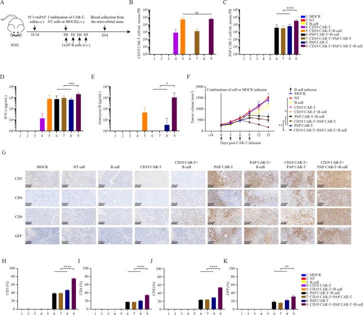 https://cdn.ncbi.nlm.nih.gov/pmc/blobs/b754/12161386/4214d40df150/jitc-13-5-g005.jpg