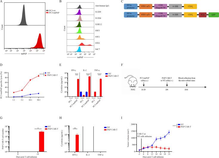 https://cdn.ncbi.nlm.nih.gov/pmc/blobs/b754/12161386/e0bf8c97f2d1/jitc-13-5-g002.jpg