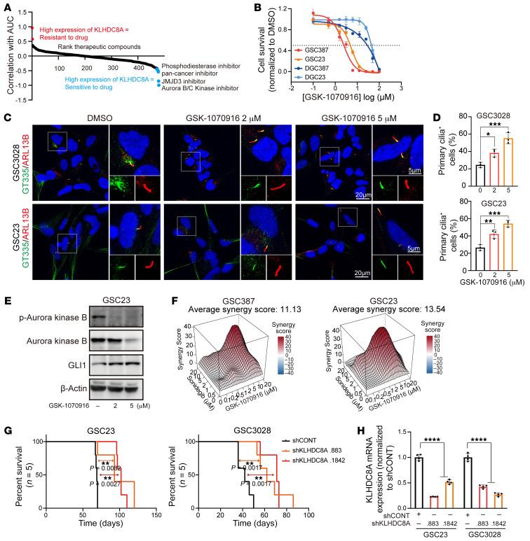 https://cdn.ncbi.nlm.nih.gov/pmc/blobs/b754/9843063/d6de907919d2/jci-133-163592-g157.jpg