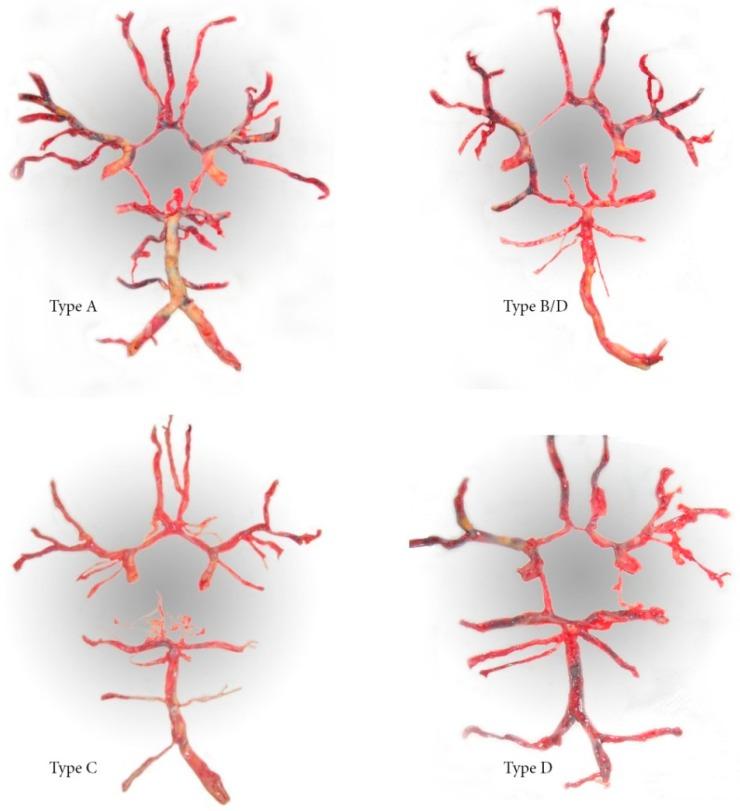 https://cdn.ncbi.nlm.nih.gov/pmc/blobs/b757/6681035/a4760ca8a375/medicina-55-00338-g001.jpg