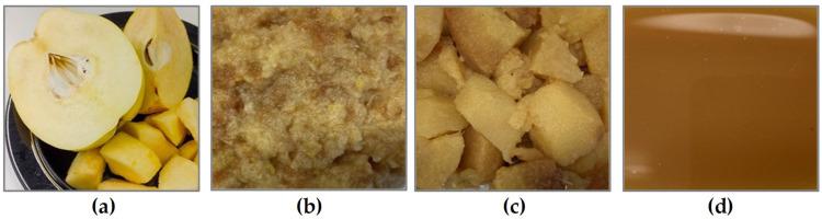 https://cdn.ncbi.nlm.nih.gov/pmc/blobs/b758/10096434/f648d96d667d/molecules-28-03066-g001.jpg