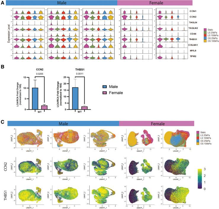 https://cdn.ncbi.nlm.nih.gov/pmc/blobs/b758/10512722/30a5e9e054fc/fcvm-10-1251141-g002.jpg