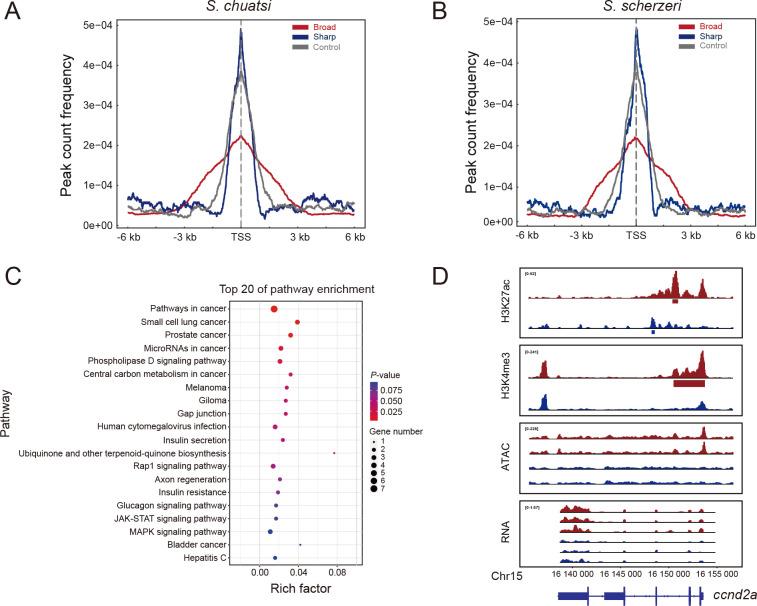 https://cdn.ncbi.nlm.nih.gov/pmc/blobs/b759/10083227/c2a728714973/zr-44-2-287-5.jpg