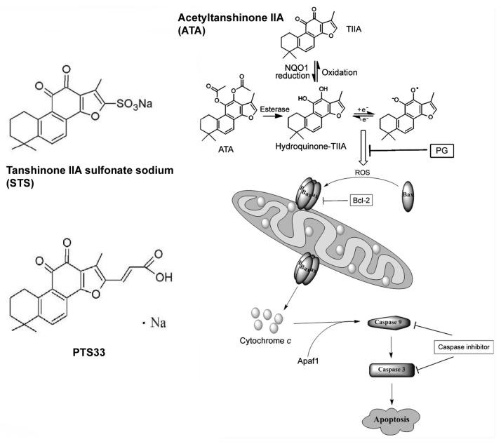 https://cdn.ncbi.nlm.nih.gov/pmc/blobs/b75b/3497345/d27a6616ffb4/ijms-13-13621f3.jpg