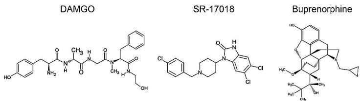 https://cdn.ncbi.nlm.nih.gov/pmc/blobs/b75b/8348759/565e51a1369c/molecules-26-04509-g001.jpg
