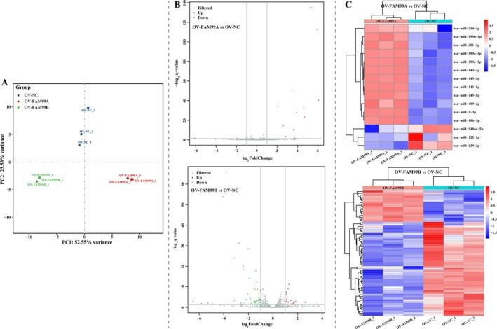 https://cdn.ncbi.nlm.nih.gov/pmc/blobs/b75e/12282501/1d4315ec6d7e/FSB2-39-e70869-g006.jpg