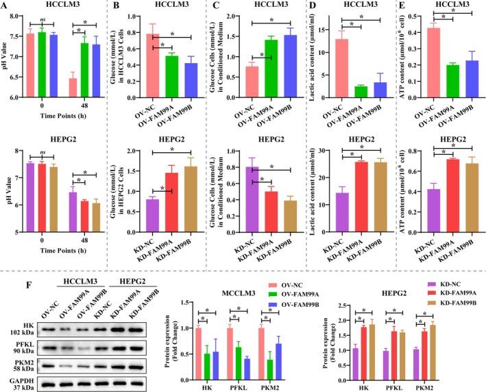 https://cdn.ncbi.nlm.nih.gov/pmc/blobs/b75e/12282501/8589952a3c1e/FSB2-39-e70869-g001.jpg
