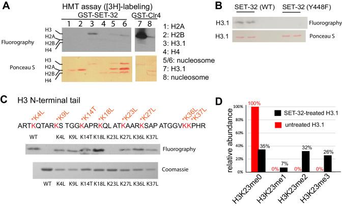 https://cdn.ncbi.nlm.nih.gov/pmc/blobs/b75e/7431132/290b958cba2f/elife-54309-fig1.jpg