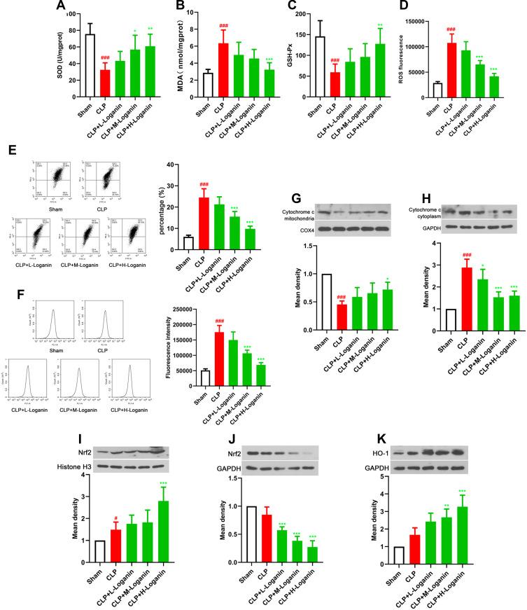 https://cdn.ncbi.nlm.nih.gov/pmc/blobs/b75f/7886113/0ea704b206fd/DDDT-15-501-g0002.jpg