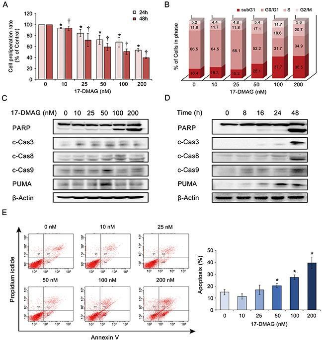 https://cdn.ncbi.nlm.nih.gov/pmc/blobs/b760/5593576/89c653796b3e/oncotarget-08-56473-g003.jpg