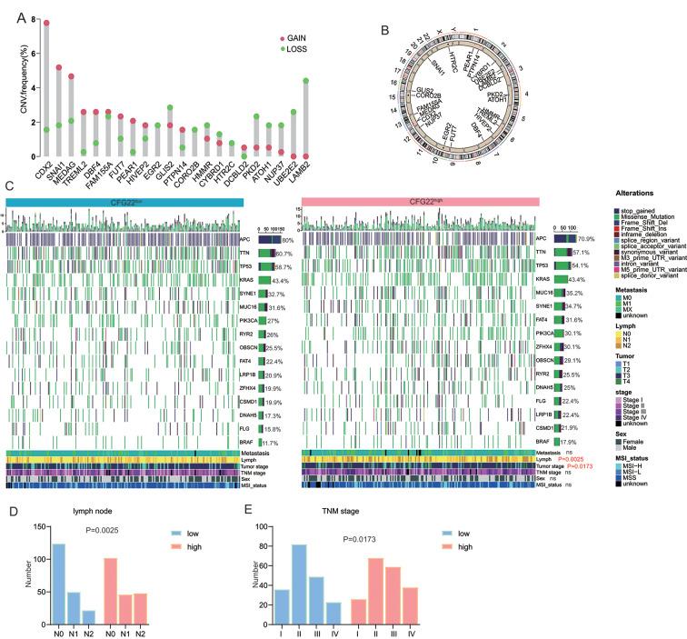 https://cdn.ncbi.nlm.nih.gov/pmc/blobs/b762/11163718/207dcc878d83/12967_2024_5323_Fig3_HTML.jpg
