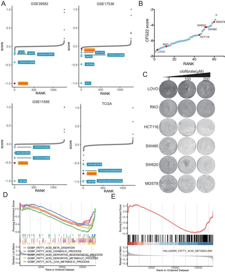 https://cdn.ncbi.nlm.nih.gov/pmc/blobs/b762/11163718/ddfd48990e46/12967_2024_5323_Fig7_HTML.jpg