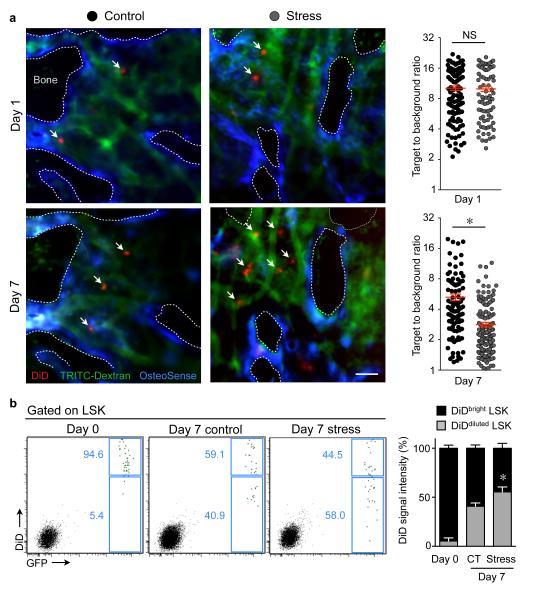 https://cdn.ncbi.nlm.nih.gov/pmc/blobs/b762/4087061/9adfbf057374/nihms-595172-f0002.jpg