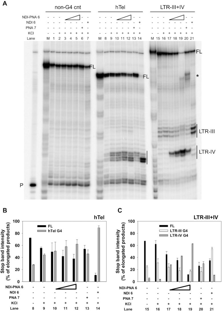https://cdn.ncbi.nlm.nih.gov/pmc/blobs/b763/7229848/cc5c89732f97/gkaa186fig5.jpg