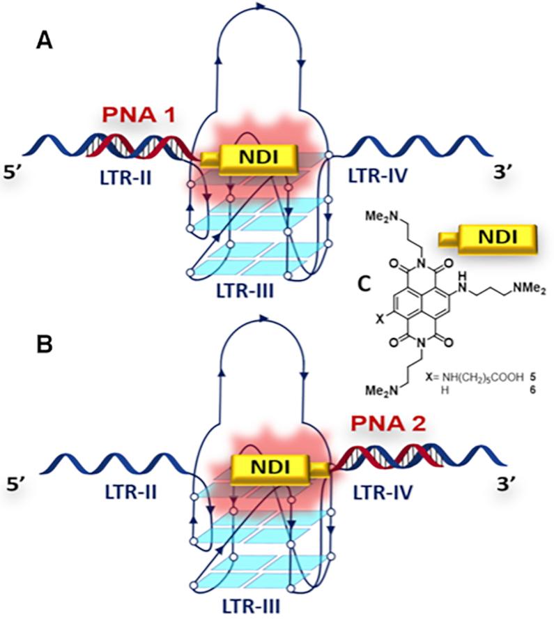 https://cdn.ncbi.nlm.nih.gov/pmc/blobs/b763/7229848/da3f64825404/gkaa186fig3.jpg