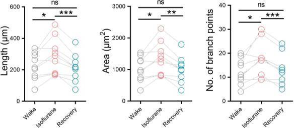 https://cdn.ncbi.nlm.nih.gov/pmc/blobs/b764/10746140/60dbfaf02dfd/elife-86749-sa3-fig3.jpg