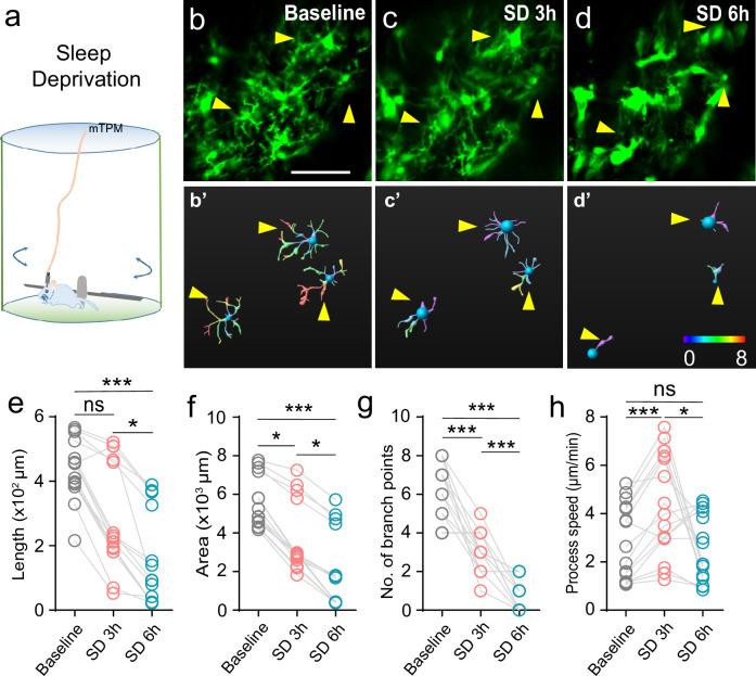 https://cdn.ncbi.nlm.nih.gov/pmc/blobs/b764/10746140/647cb369a88c/elife-86749-fig3.jpg