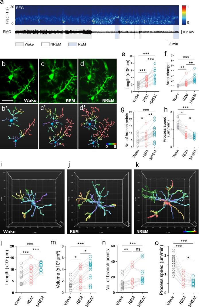 https://cdn.ncbi.nlm.nih.gov/pmc/blobs/b764/10746140/853ebee8984a/elife-86749-fig2.jpg