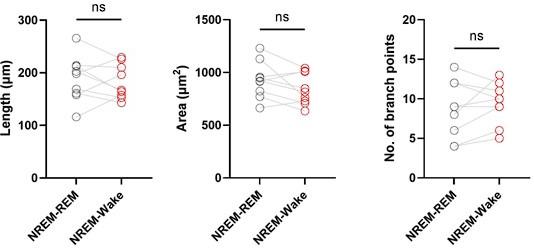 https://cdn.ncbi.nlm.nih.gov/pmc/blobs/b764/10746140/ae0281c8a22b/elife-86749-sa3-fig4.jpg