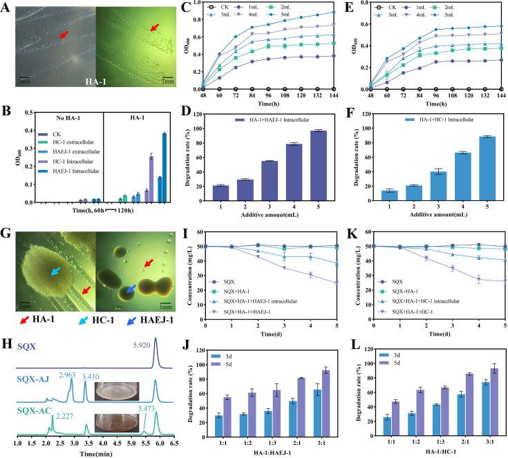 https://cdn.ncbi.nlm.nih.gov/pmc/blobs/b765/12285269/41f03dcc9f67/aem.00590-25.f002.jpg